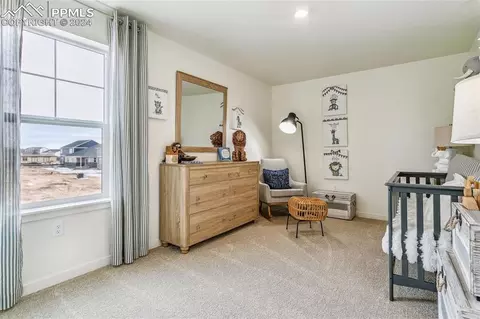 Bedroom - 2243 Still Meadows Ct, Monument, CO 80132 photo 6 of 6