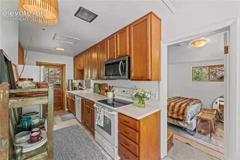 9375 Ute Rd, Cascade, CO 80809 photo 24