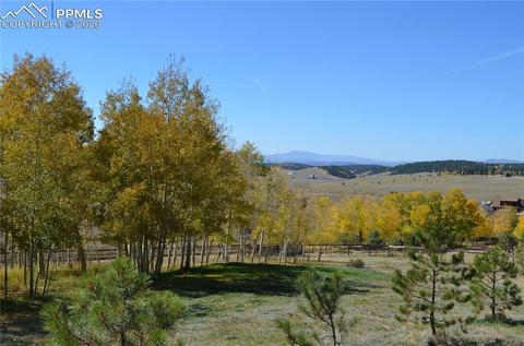 240 Ridge Top Dr, Divide, CO 80814 photo 26