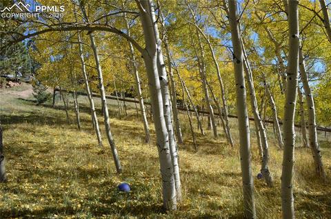 240 Ridge Top Dr, Divide, CO 80814 photo 30