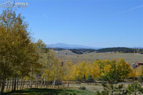 240 Ridge Top Dr, Divide, CO 80814 photo 25