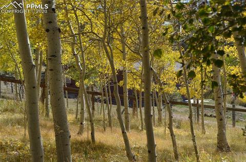 240 Ridge Top Dr, Divide, CO 80814 photo 29