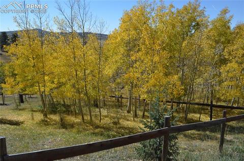240 Ridge Top Dr, Divide, CO 80814 photo 23