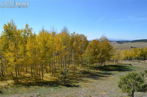 240 Ridge Top Dr, Divide, CO 80814 photo 37