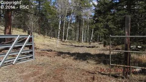 5526 North Rd, Divide, CO 80814 photo 16