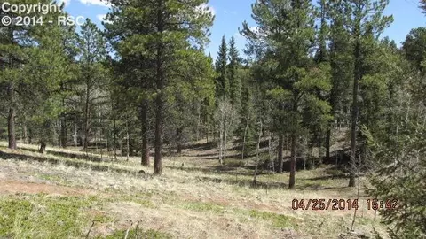 5526 North Rd, Divide, CO 80814 photo 3