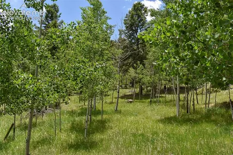 281 Deer Ln, Guffey, CO 80820