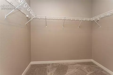 Other - 330 E Lost Pines Dr, Monument, CO 80132 photo 4 of 10