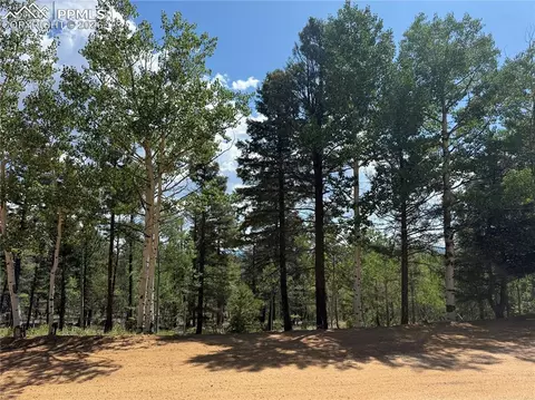 242 Apache Creek Dr, Florissant, CO 80816
