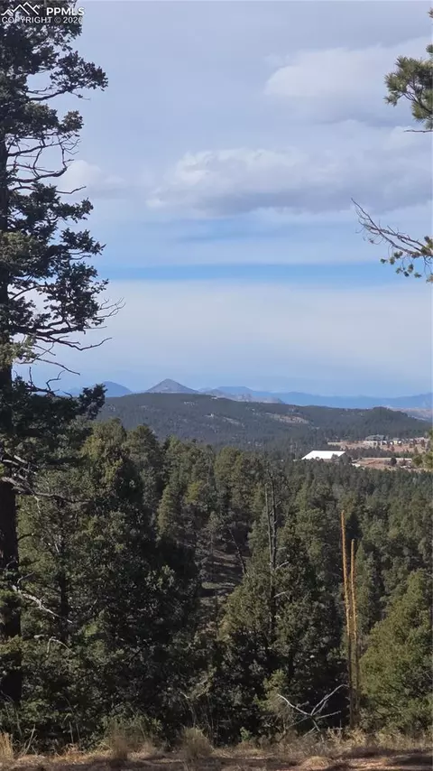 169 Osoeola Rd, Woodland Park, CO 80863