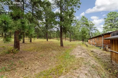 20020 Teacup Grv, Peyton, CO 80831 photo 5