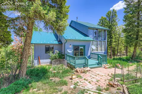 147 Shavano Creek Trl, Florissant, CO 80816