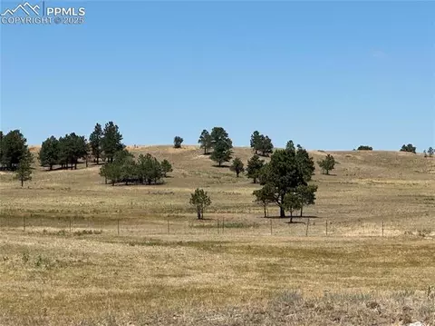 Goodson Road, Peyton, CO 80831 photo 9