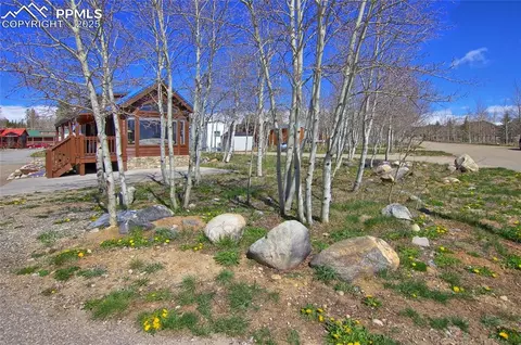 65 Sunshine Loop, Fairplay, CO 80440 photo 5