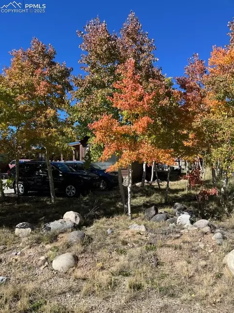 Other - 65 Sunshine Loop, Fairplay, CO 80440 photo 25 of 25