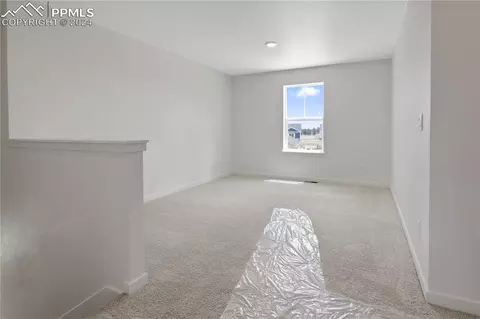 2233 Still Meadows Ct, Monument, CO 80132 photo 10