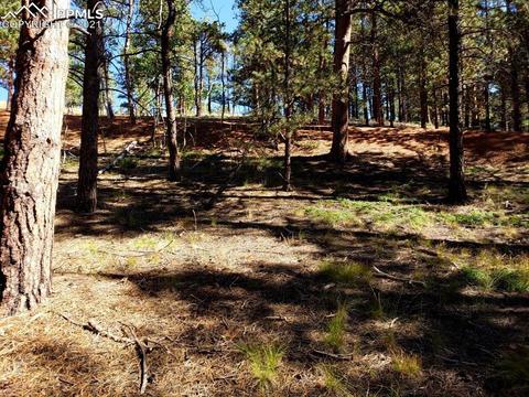 134 Spring Valley Cir, Divide, CO 80814 photo 7