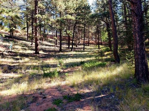 134 Spring Valley Cir, Divide, CO 80814 photo 1