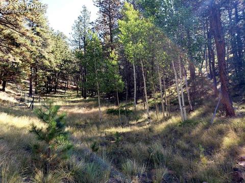 134 Spring Valley Cir, Divide, CO 80814 photo 6