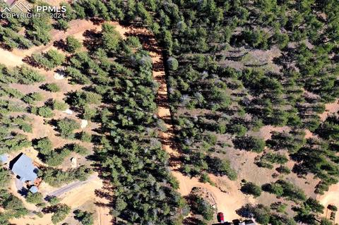 134 Spring Valley Cir, Divide, CO 80814 photo 16