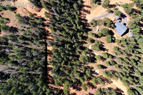 134 Spring Valley Cir, Divide, CO 80814 photo 14