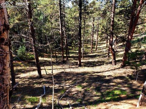 134 Spring Valley Cir, Divide, CO 80814 photo 5