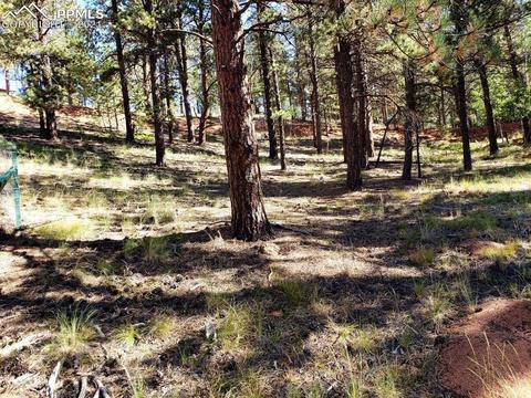 134 Spring Valley Cir, Divide, CO 80814 photo 10
