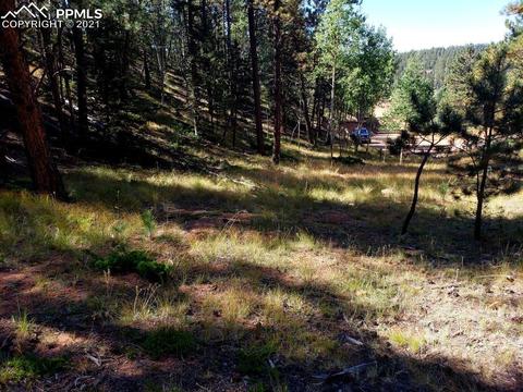 134 Spring Valley Cir, Divide, CO 80814 photo 9