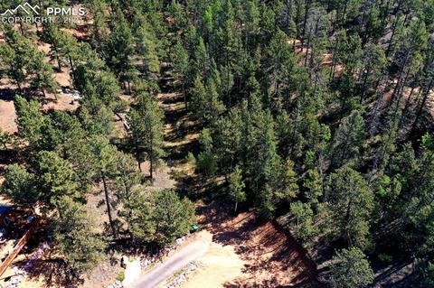 134 Spring Valley Cir, Divide, CO 80814 photo 15