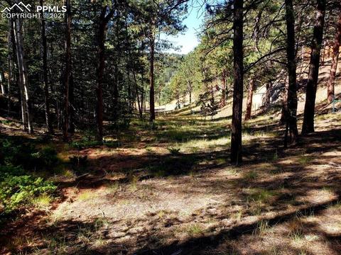 134 Spring Valley Cir, Divide, CO 80814 photo 8