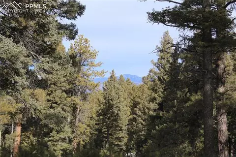 1934 Lucky Lady Dr, Woodland Park, CO 80863