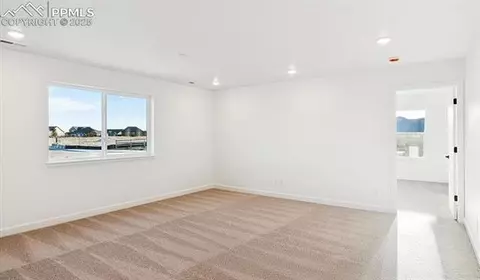 16785 Starfall Dr, Monument, CO 80132 photo 10