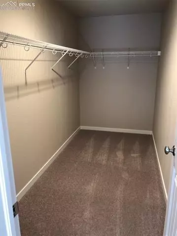 16421 Corkbark Ter, Monument, CO 80132 photo 17