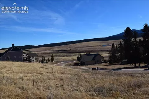 108 Allison Pl, Divide, CO 80814 photo 10