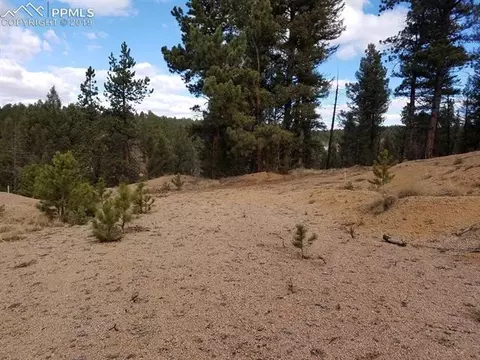 848 E Bison Creek Trl, Divide, CO 80814 photo 8