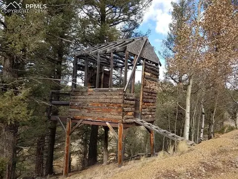 848 E Bison Creek Trl, Divide, CO 80814 photo 6