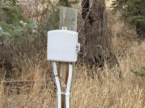848 E Bison Creek Trl, Divide, CO 80814 photo 3