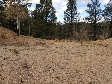 848 E Bison Creek Trl, Divide, CO 80814 photo 2