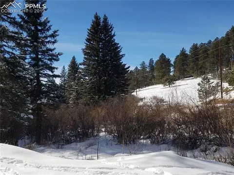 848 E Bison Creek Trl, Divide, CO 80814 photo 13