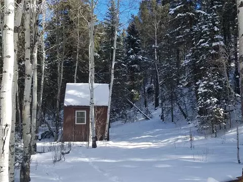 848 E Bison Creek Trl, Divide, CO 80814 photo 12