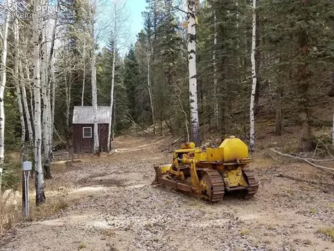 848 E Bison Creek Trl, Divide, CO 80814 photo 5