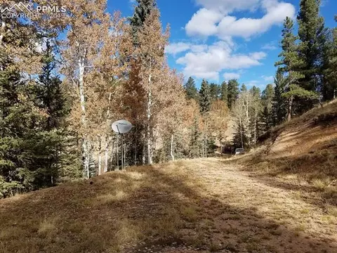 848 E Bison Creek Trl, Divide, CO 80814 photo 4