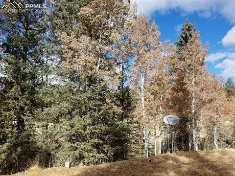 848 E Bison Creek Trl, Divide, CO 80814 photo 10