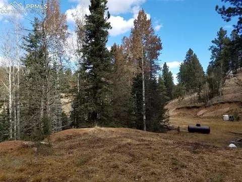 848 E Bison Creek Trl, Divide, CO 80814 photo 7