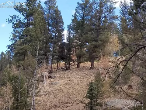 848 E Bison Creek Trl, Divide, CO 80814 photo 1