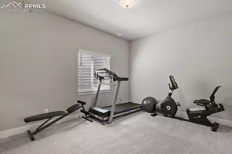 Bedroom - 15706 Native Willow Dr, Monument, CO 80132 photo 8 of 8