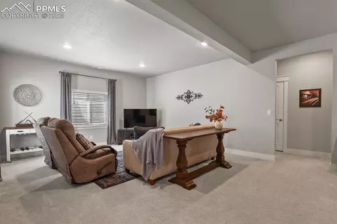 Other - 15706 Native Willow Dr, Monument, CO 80132 photo 13 of 16