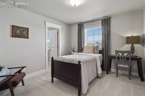 Bedroom - 15706 Native Willow Dr, Monument, CO 80132 photo 5 of 8