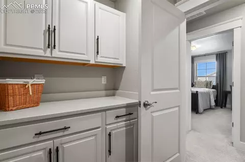 Other - 15706 Native Willow Dr, Monument, CO 80132 photo 9 of 16
