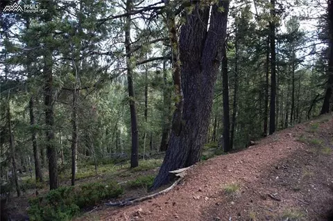 329 Paradiso Rd, Divide, CO 80814 photo 1